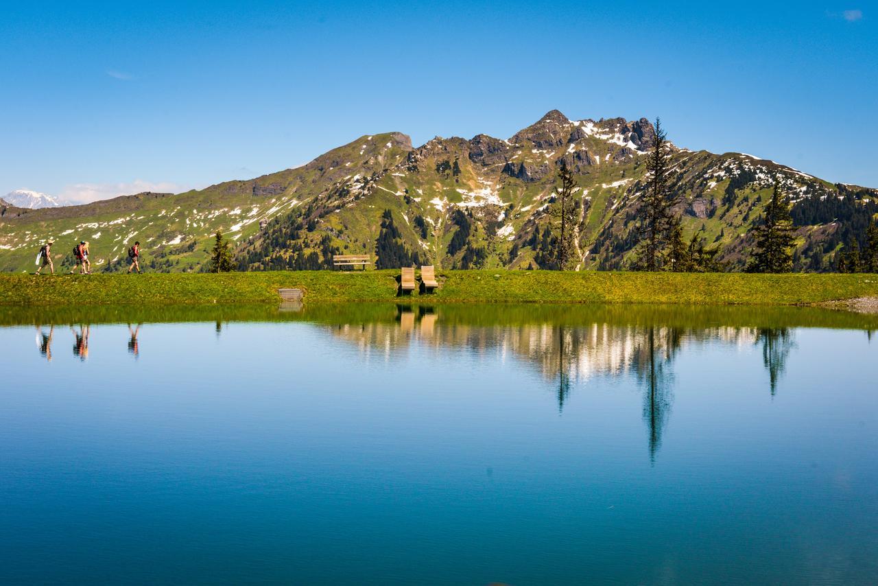 Bergparadies Appart Stubnerkogel Apartamento Dorfgastein Exterior foto